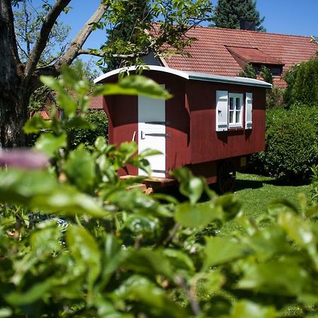 グラッサウHaus Am Salinenwegアパートメント エクステリア 写真