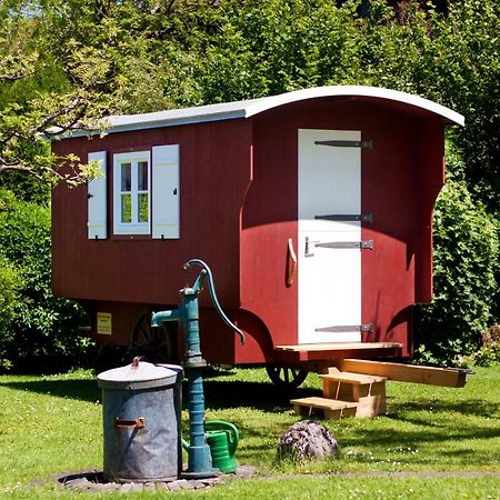 グラッサウHaus Am Salinenwegアパートメント エクステリア 写真