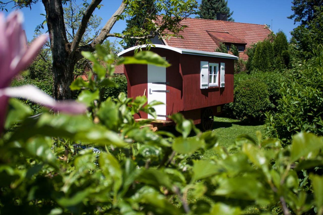 グラッサウHaus Am Salinenwegアパートメント エクステリア 写真